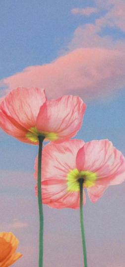 性学专家说：

考察一个男人，就叫他去开车。

看一个女人，就带她去游泳。

这