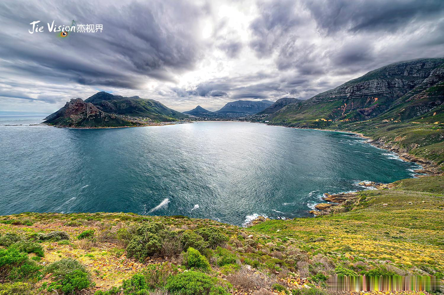 【开普敦最萌现场！6万只海豹集体“猪叫”太治愈了】🐷💦啊啊啊谁懂啊！开普敦福