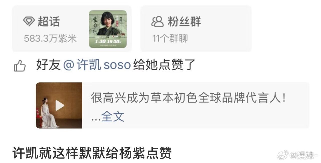 我感觉这种有粉丝基础的，不是那种爆红，比较稳定的男星反而不太会撕，那些想借她上位