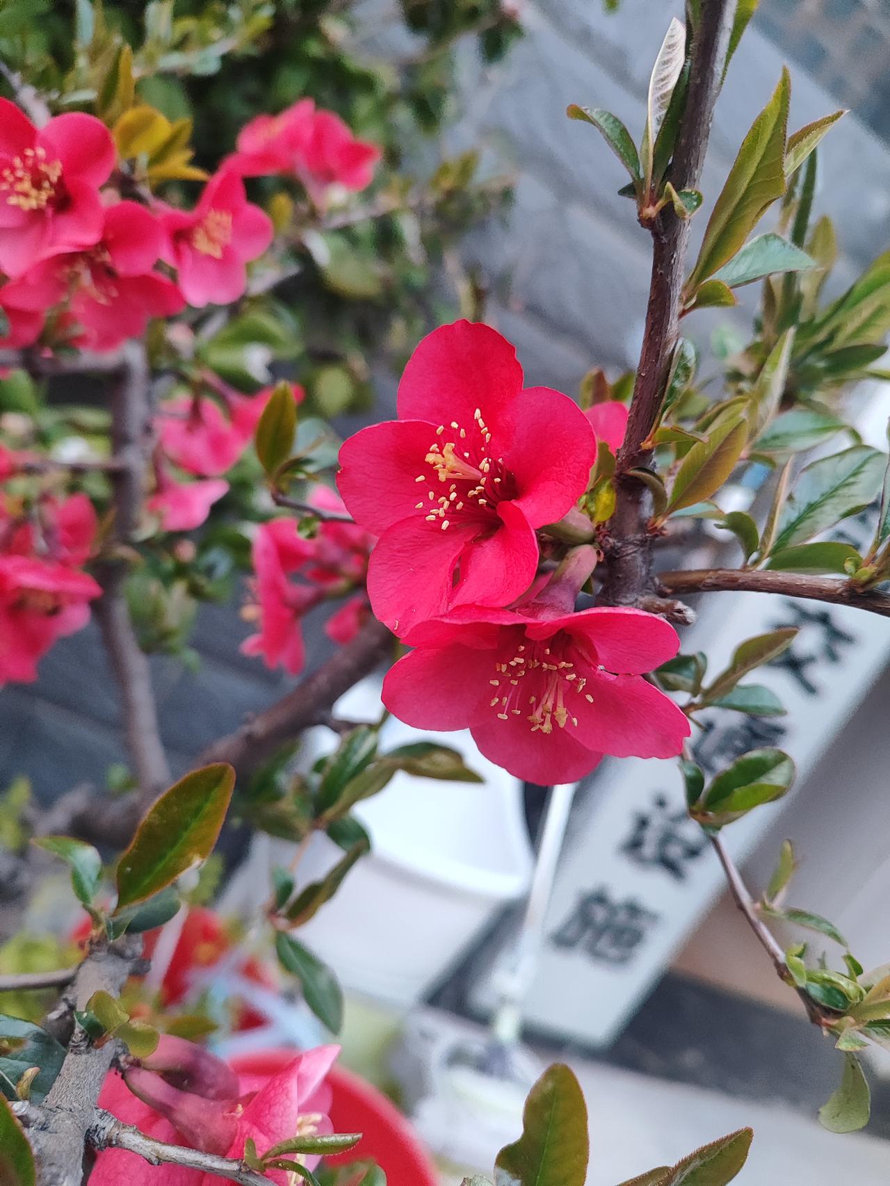 你觉得人生怎样过才有意义人生的意义，从不在宏大的口号里，而在三餐烟火、家人安康、