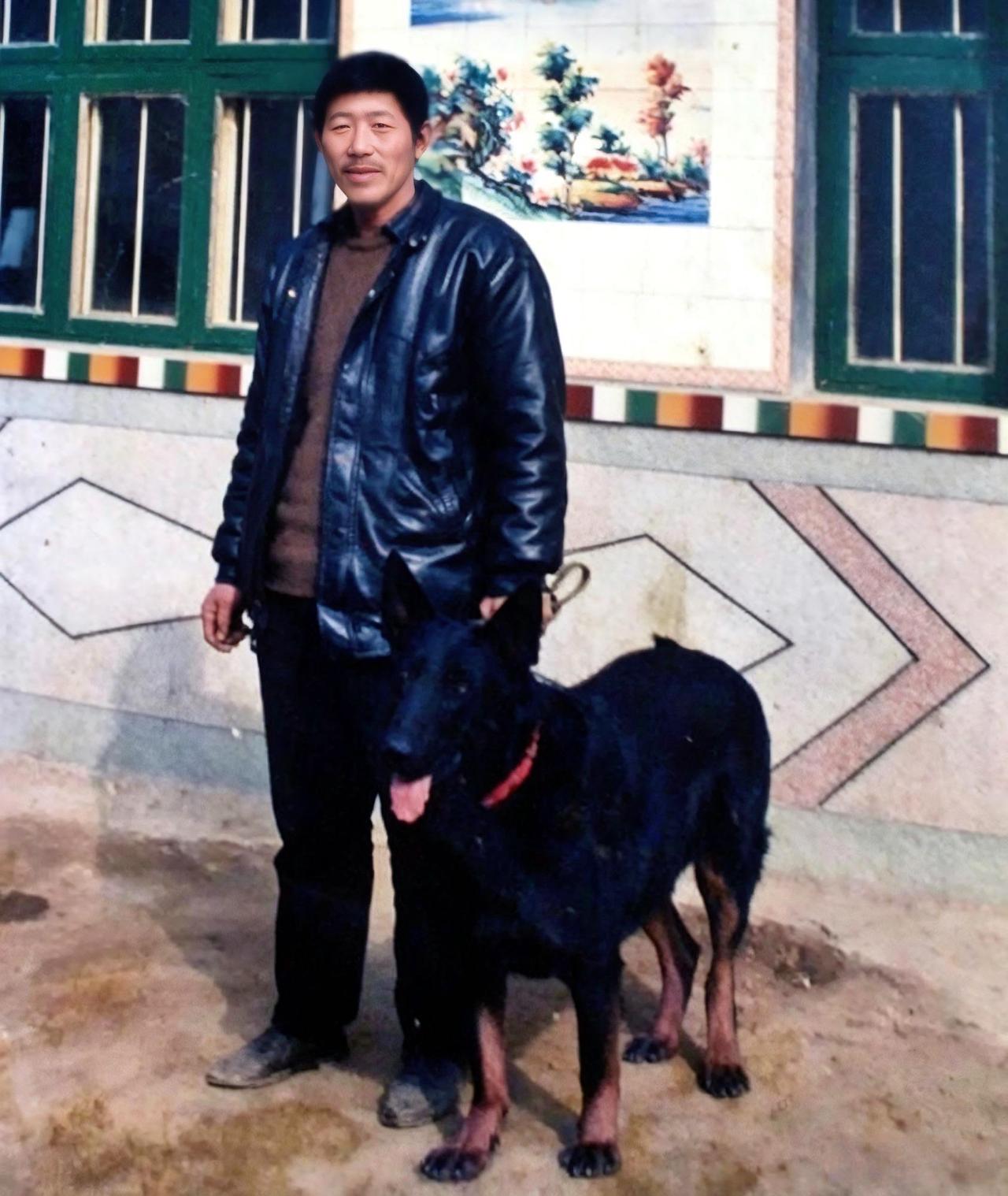 图中大哥牵着的这条大狼狗，就是传说中的莱州红犬的始祖，名叫大老黑，体重130斤。