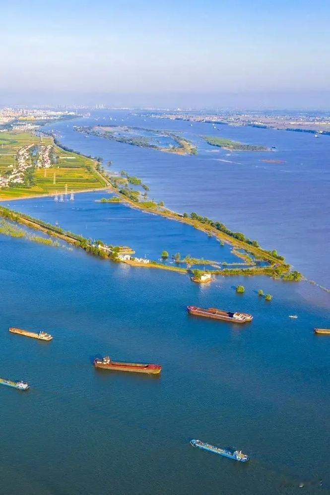 紧急提醒！鄱阳湖 大量鱼类搁浅，官方明确：不建议捡、禁止买卖
 
近期受枯水期影