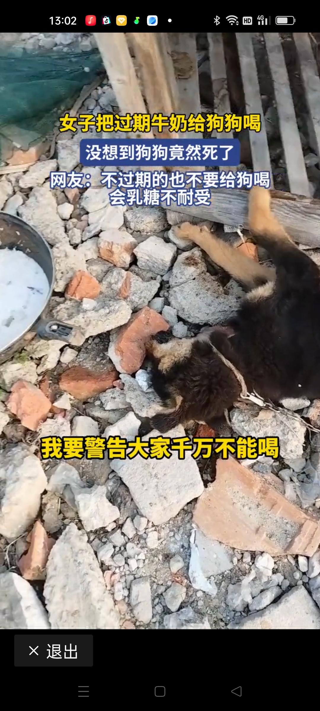 女子把过期牛奶倒给狗吃致其死亡，这件事一经曝光，立刻引发了网友们的激烈讨论。有人