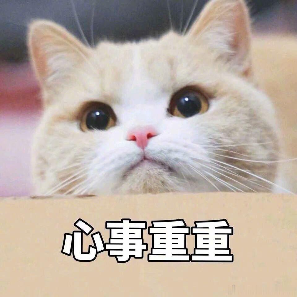 12星座“恋爱脑补”段位大赏：重度脑补患者：巨蟹、双鱼、天秤对方晚回消息就能脑补