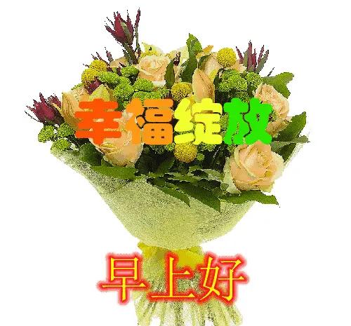 珍惜老来时光
笑对晚年夕阳
养好自己身体
活出生命精彩
烦事随风而去
快乐知足健