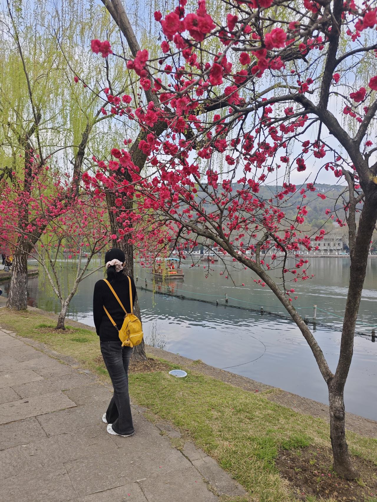 我的今日状态：😁轻松愉快
我这里的天气：🌧下雨

今天的我要启程回江苏常州老