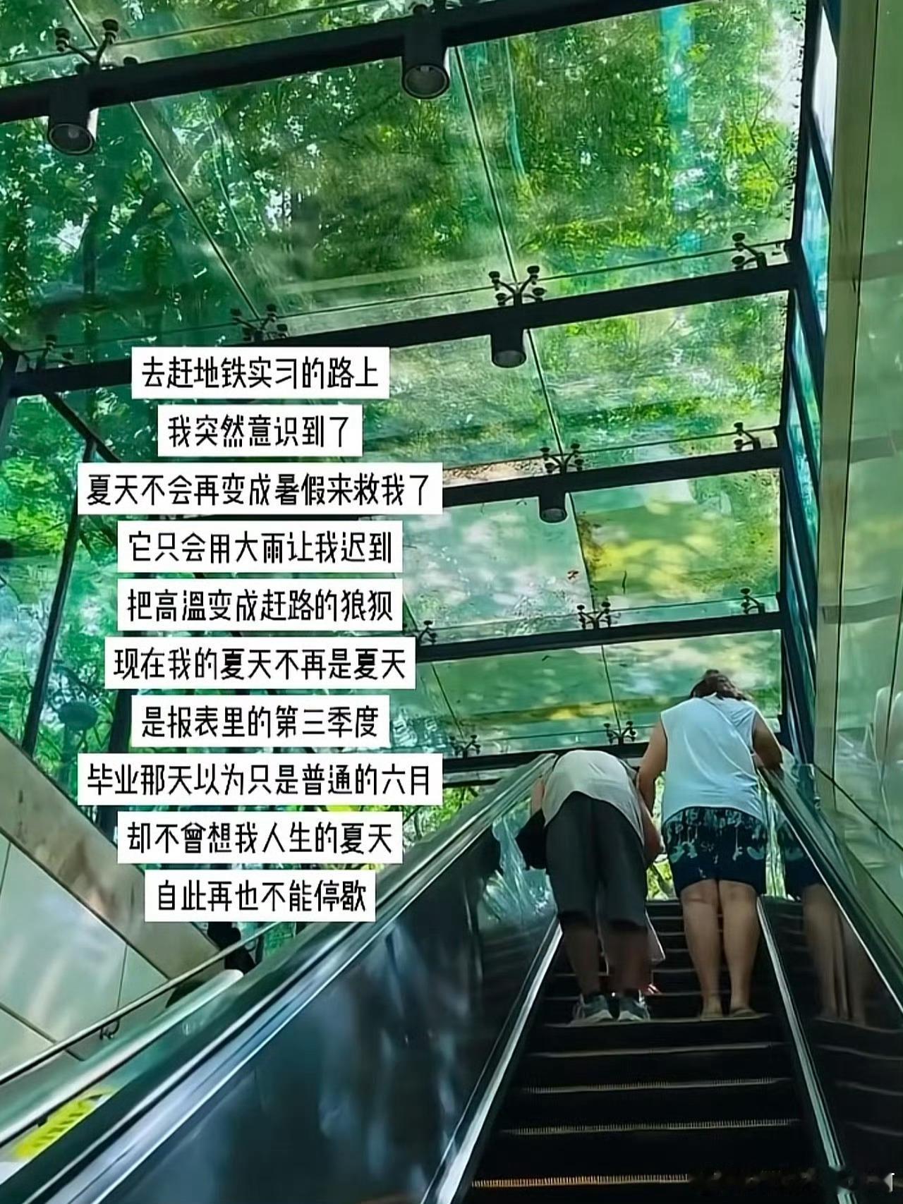 “夏天不会再变成暑假来救我了” 