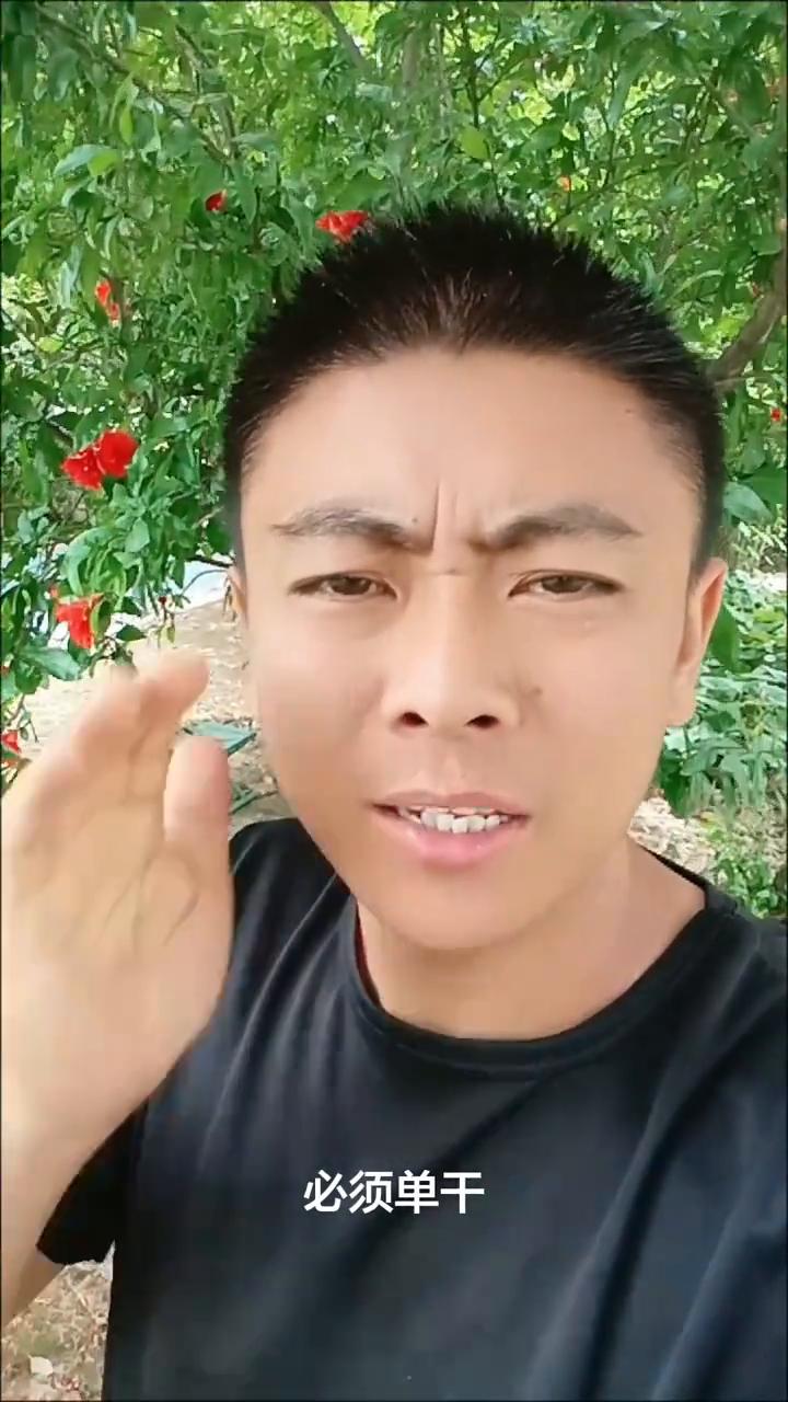 全网喊话董教练，千万不要加入他们，一定要另立门户，必须单干。千万不要像宋江那样败