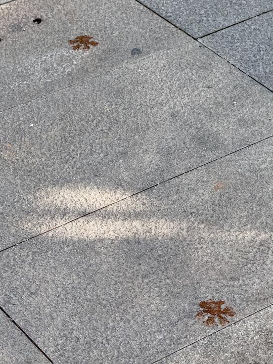 你是佩奇吗你要去跳泥坑！