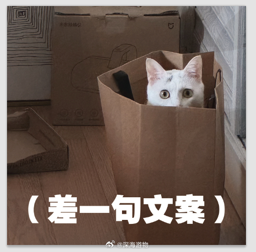 再给这个表情包配一句文案 