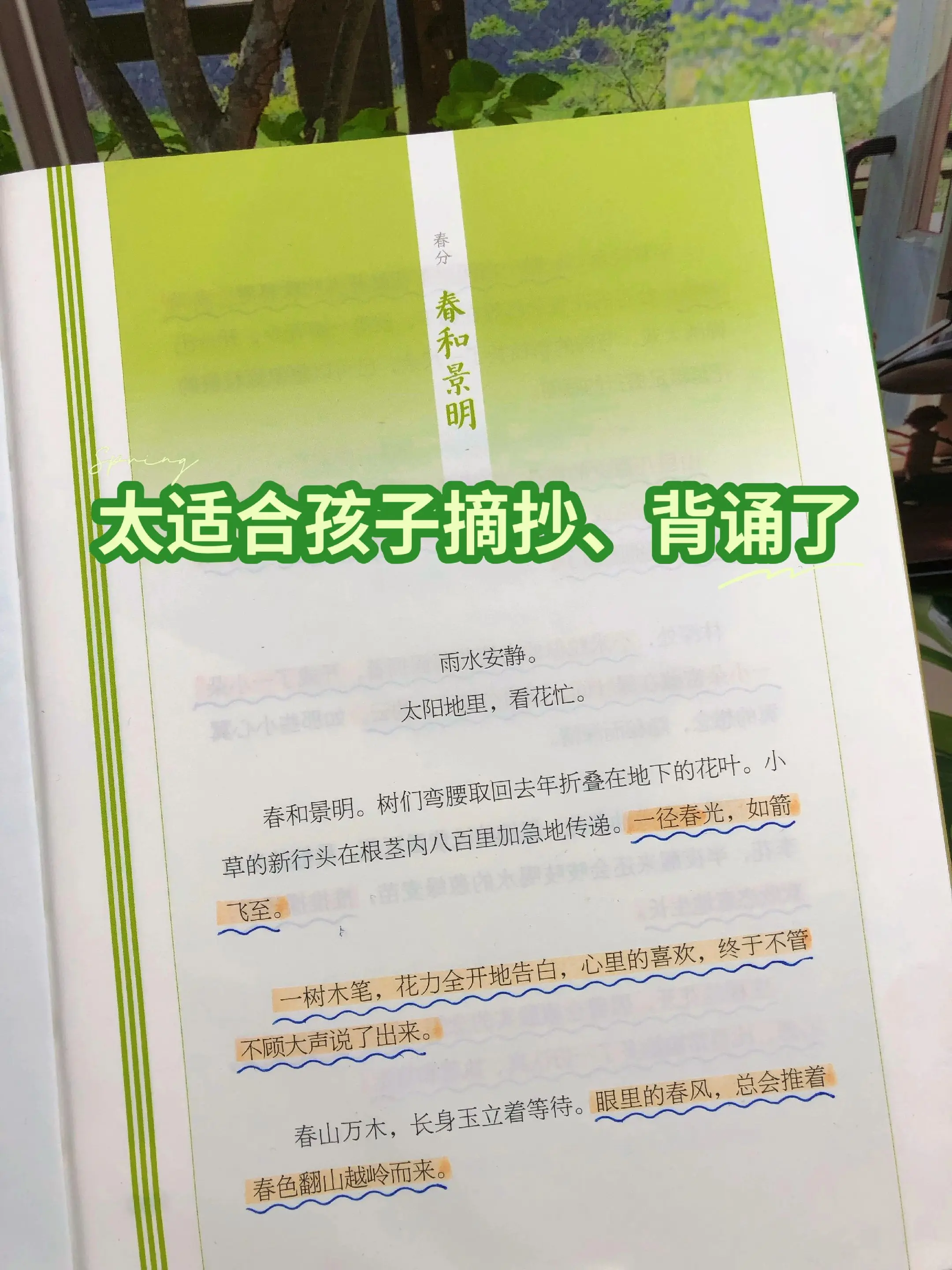 这套书真的让女儿的作文彻底开了窍✨。写作素材匮乏，写作文干巴巴的孩子...