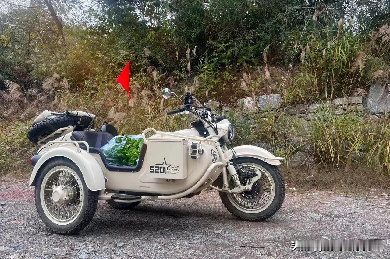 驰骋山间，自由自在！🚴‍♂️🍃