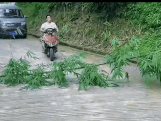 当你遇到这样的人会怎么做