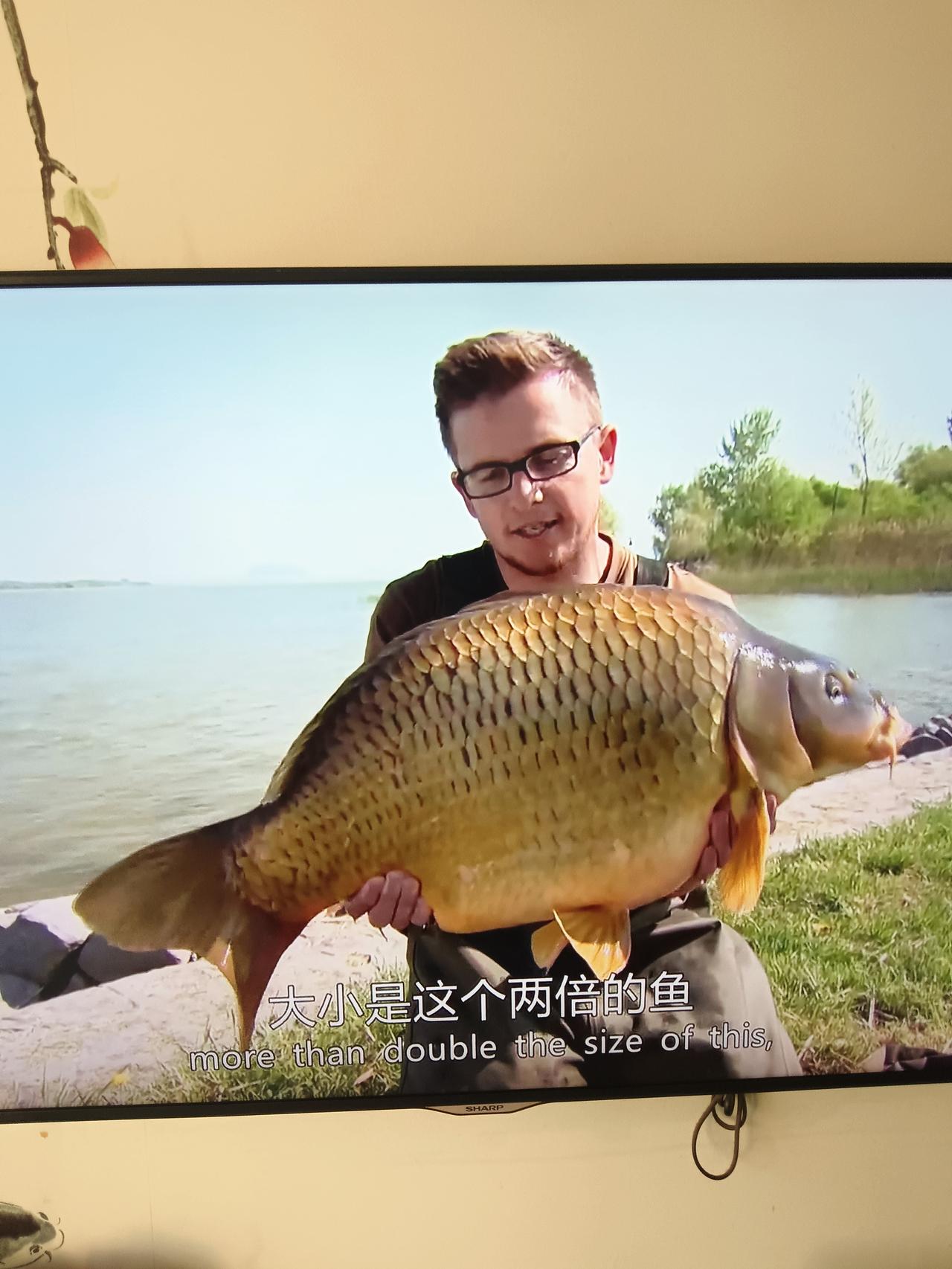 实在不理解男人的迷惑行为，老公看了一下午的电视，一个钓鱼节目，《追捕巨鲤》，来来
