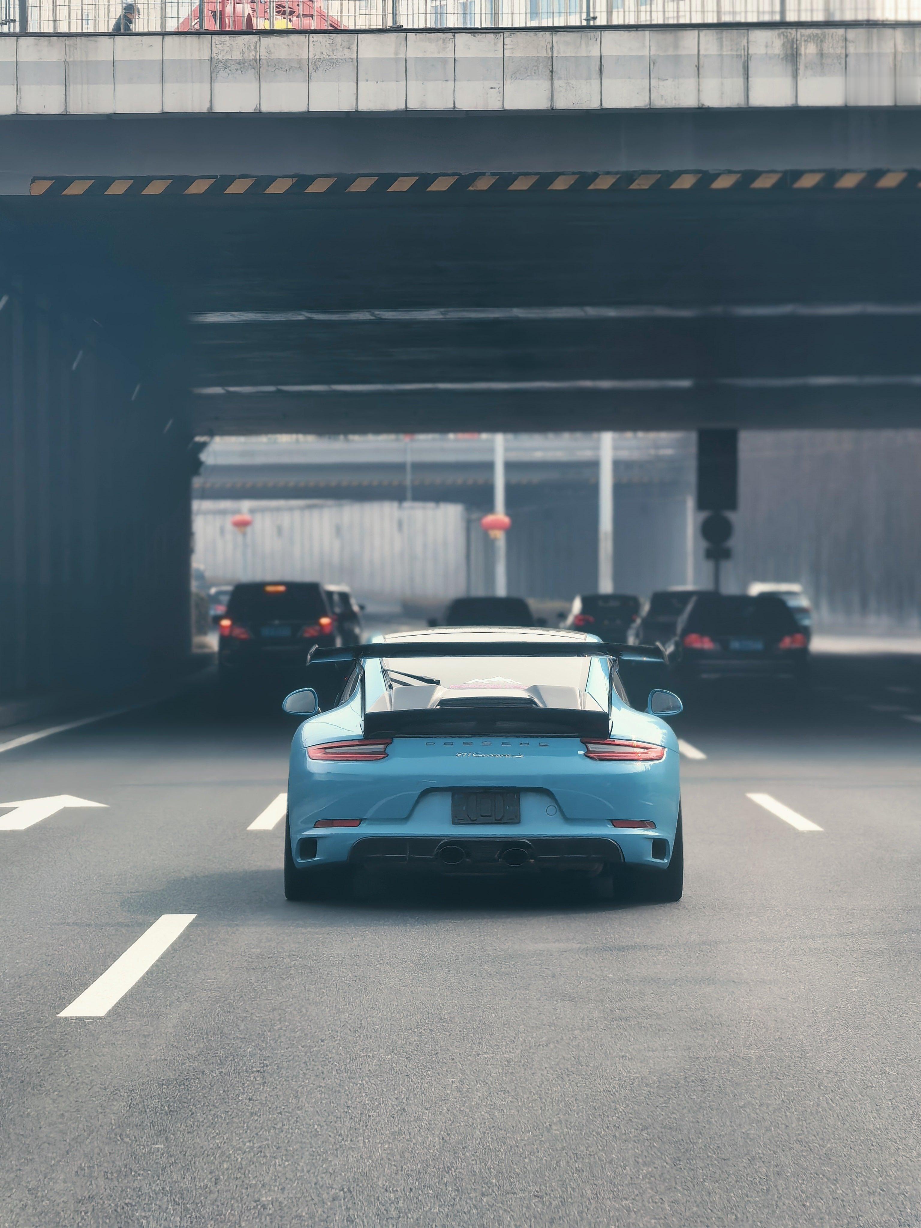 看我的大尾翼好看么？ 