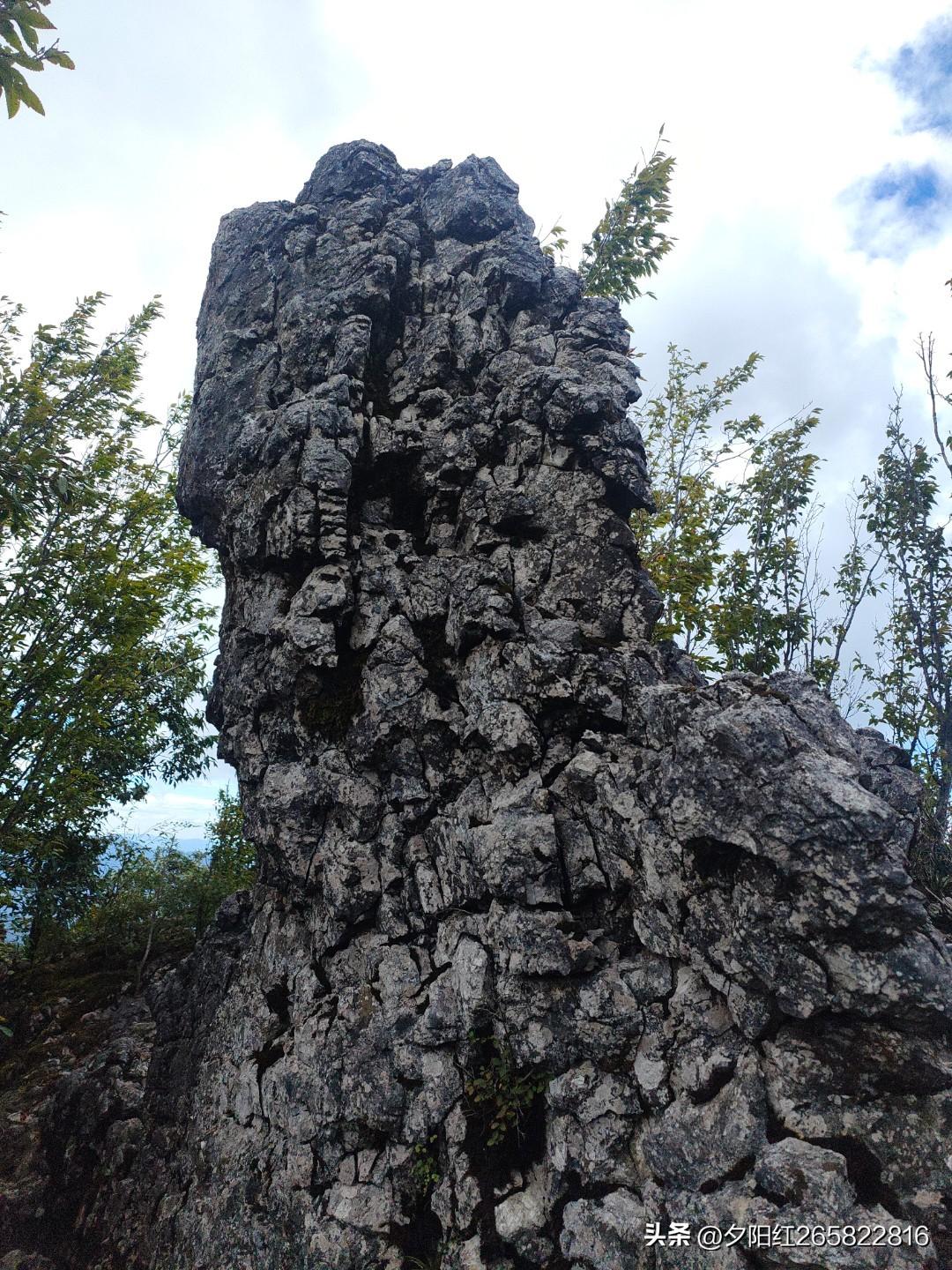 很多人害怕孤独，觉得它意味着落寞冷清。但我觉得孤独是一种享受。
在中国文字里，孤