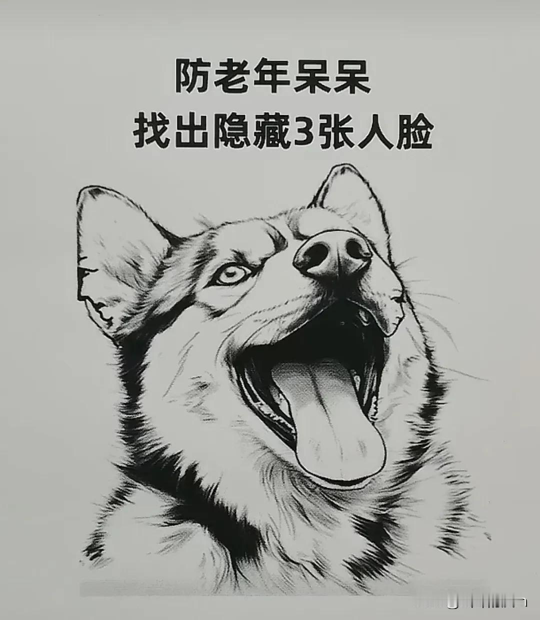 不是我说，最后一张一般人肯定找不到，太难了#看到了几张脸# #你找到了几张脸# 