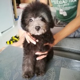 郑五侃侃娱乐