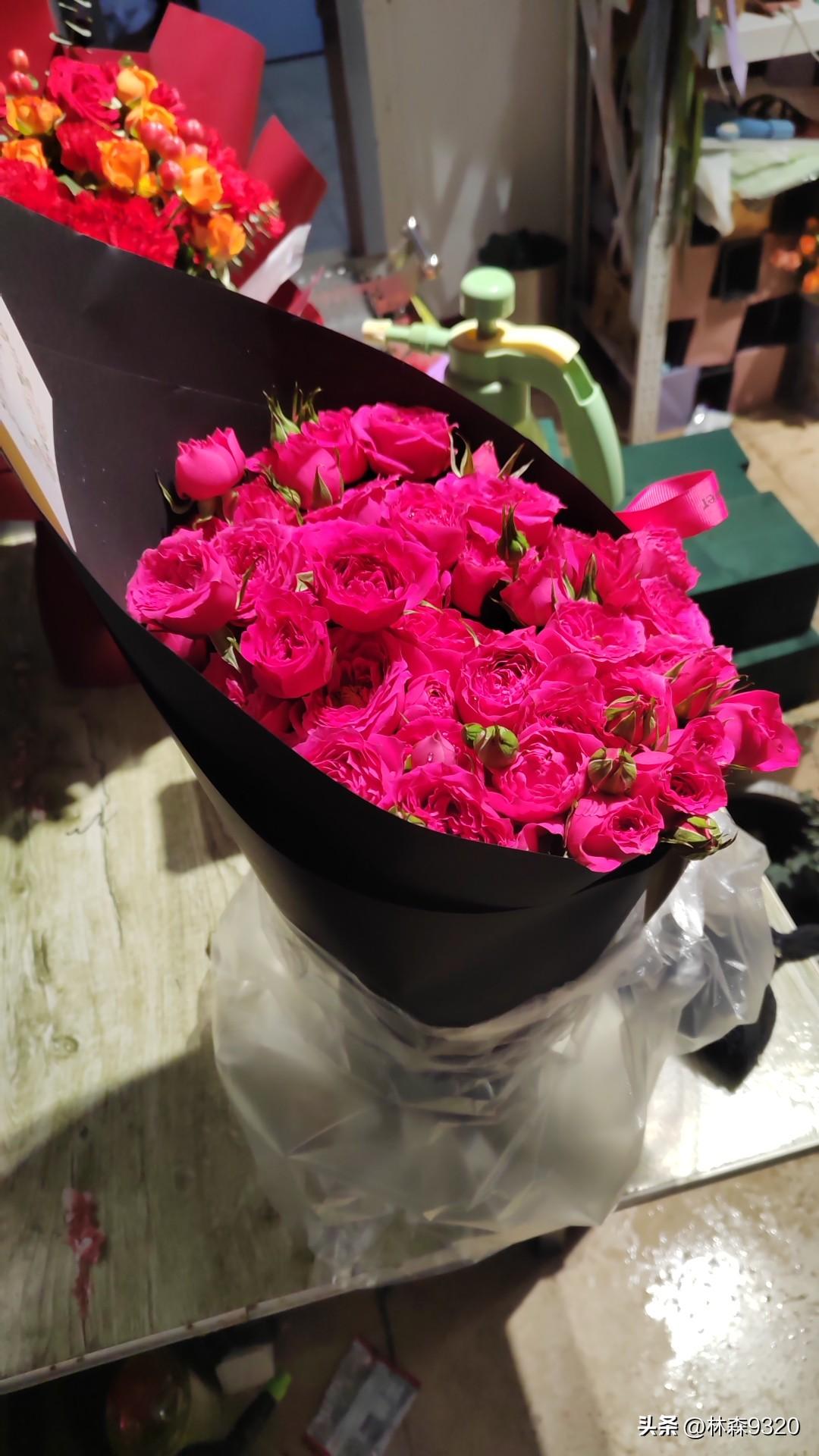 春日生活打卡季