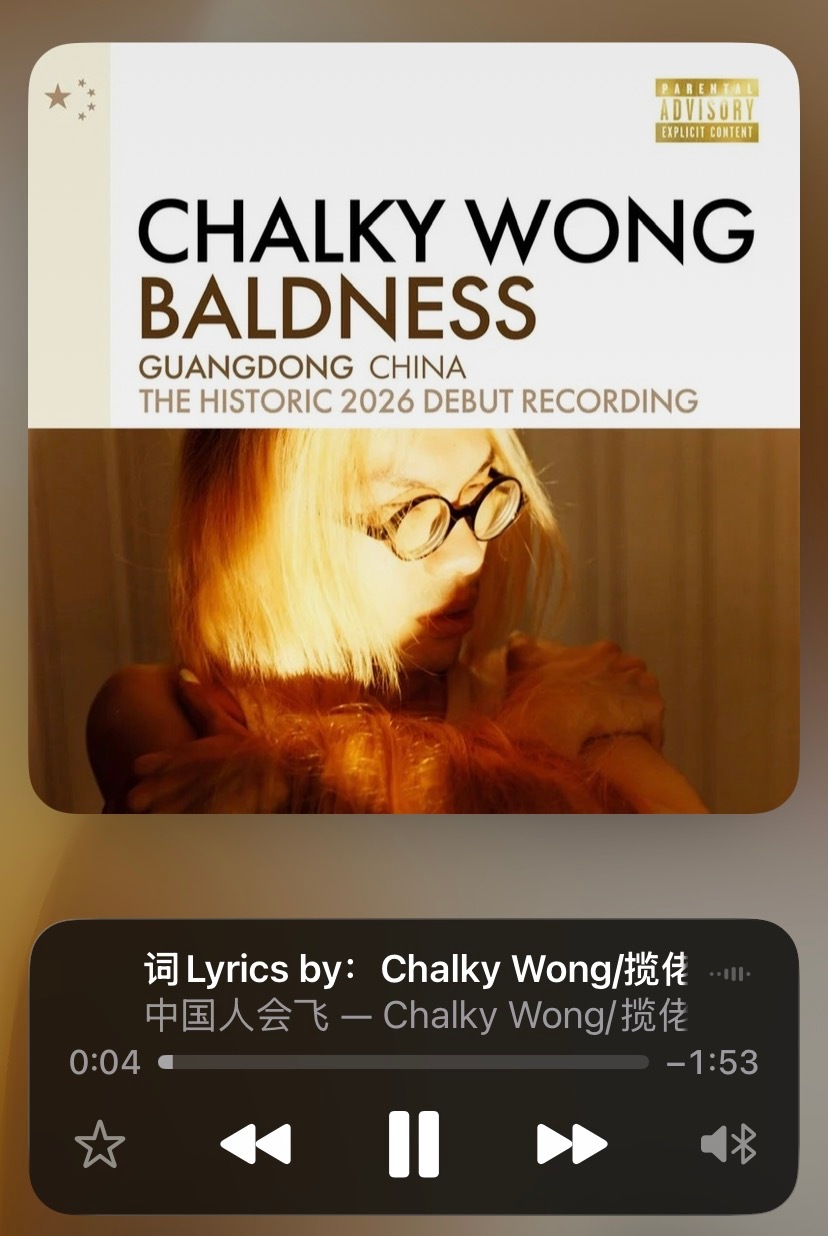 qq音乐有毛病吧，日推30首给我推中国人能飞