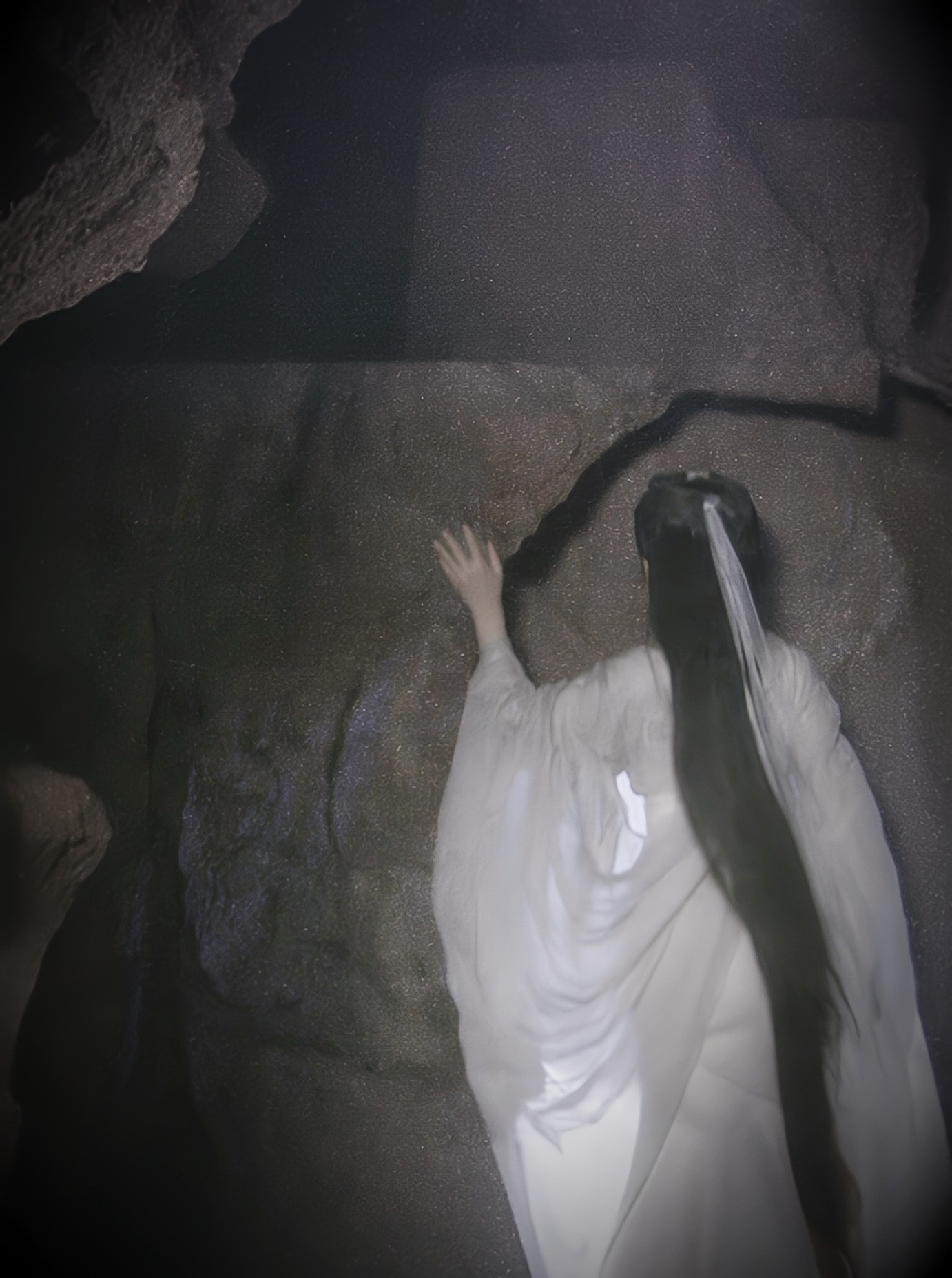 师尊你怎么香香的 