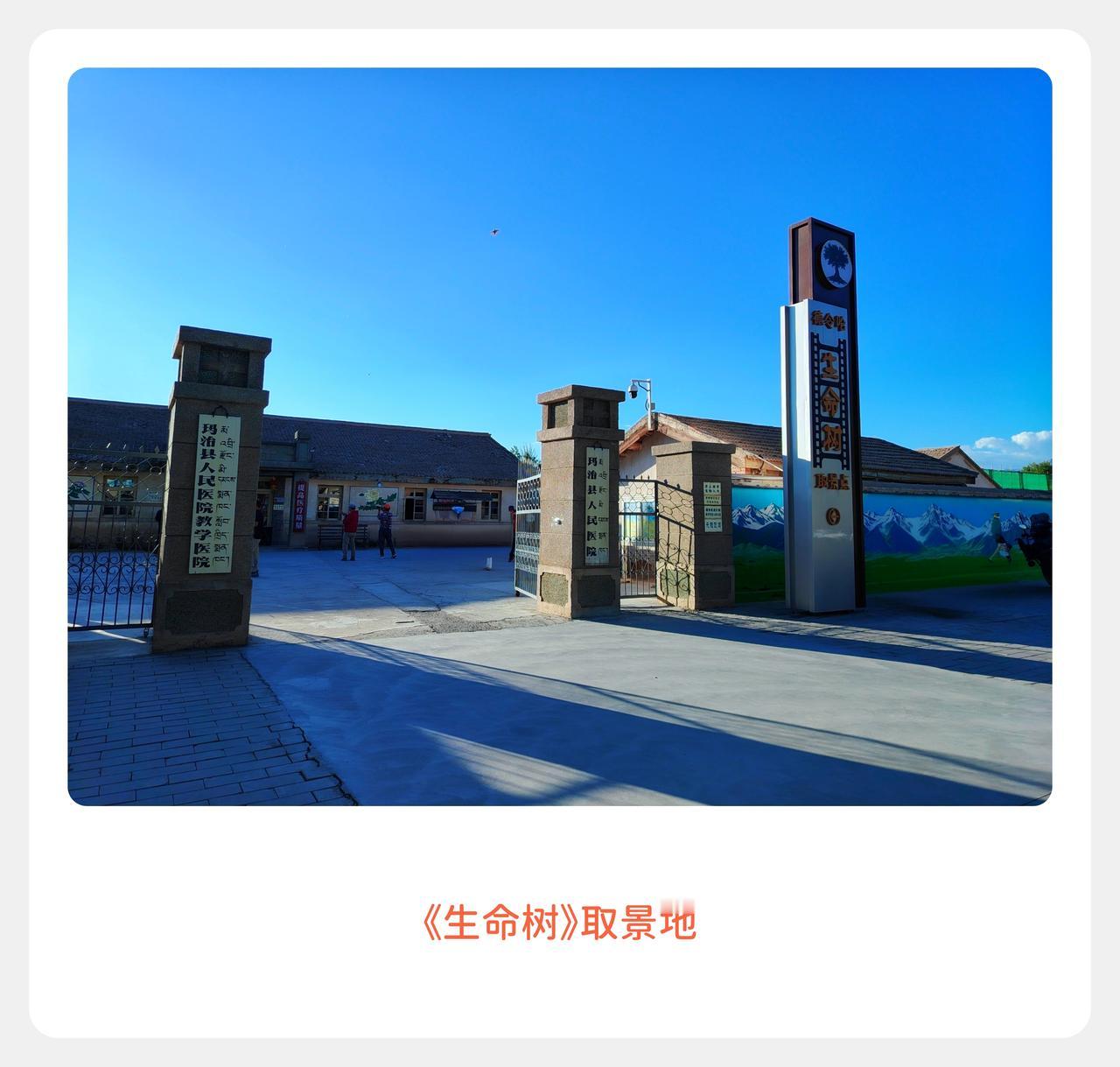 《生命树》拍摄地
