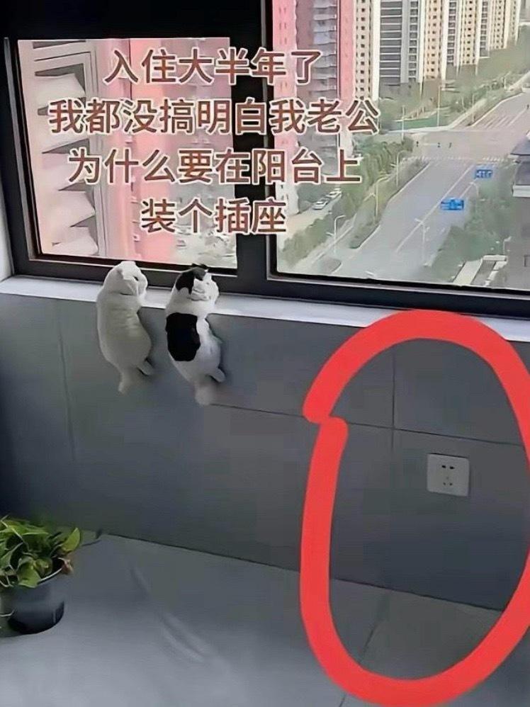 作为女生我居然秒懂 