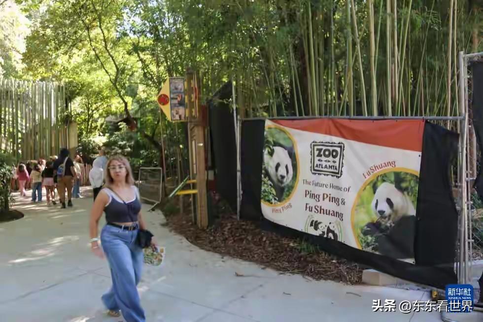 不借熊猫给日本，美国却有六个。

日本人心里不是滋味。

熊猫从来就不是一般的动
