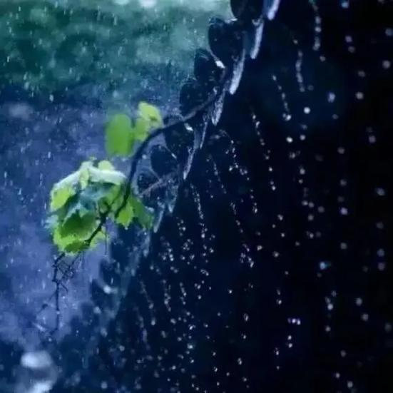 浣溪沙 · 雨夜

閃閃天空雷電鳴，
交加風雨打窗楹。
折騰一夜到黎明。

真箇