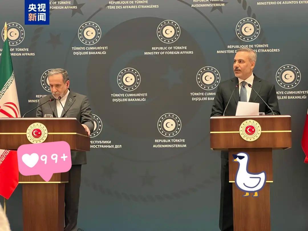 当地时间1月30日，在土耳其访问的伊朗外长阿拉格齐就欧盟将伊朗伊斯兰革命卫队列为