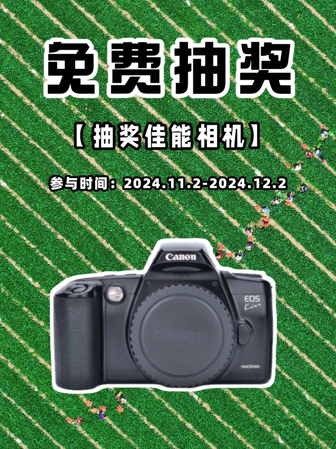 11月宠粉福利‼️佳能相机免费送📷