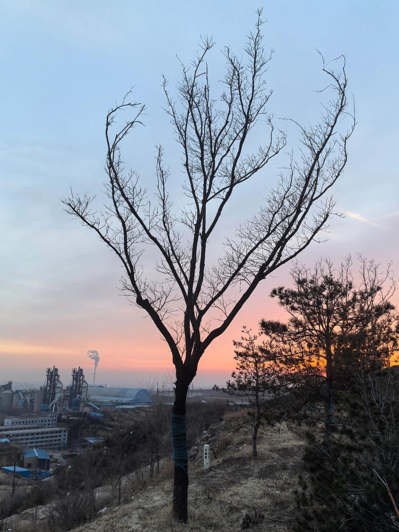 用快乐的心问候珍惜的人，用真诚的情祝福牵挂的人。愿我最在乎的人，清晨醒来，精神好