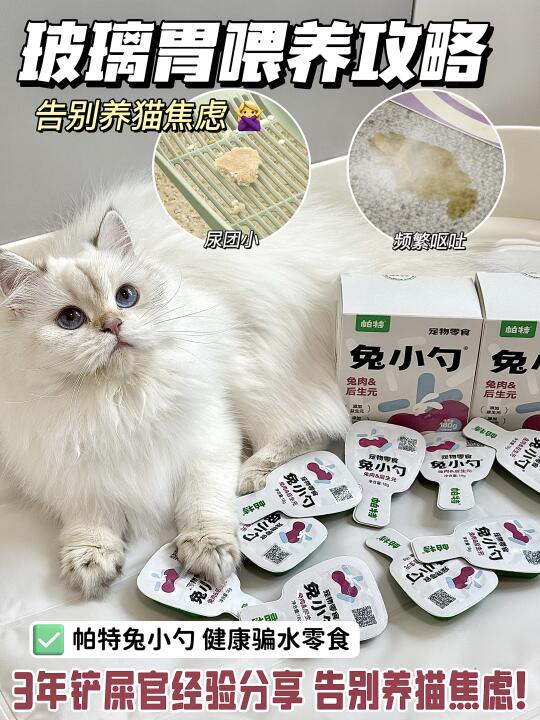 3年铲屎官经验分享｜玻璃胃小猫的骗水tips