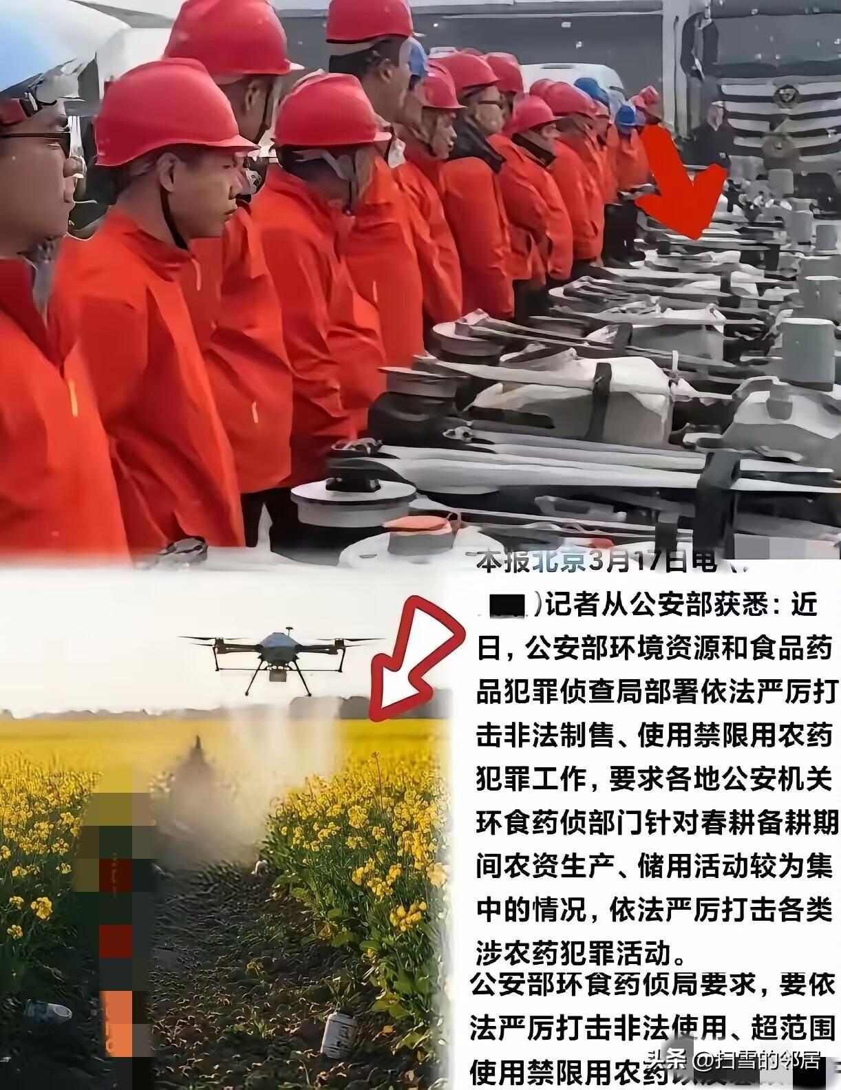 这次严查真是大快人心！有些人穿着红工服，操控无人机，专挑油菜花盛开的时候乱喷农药