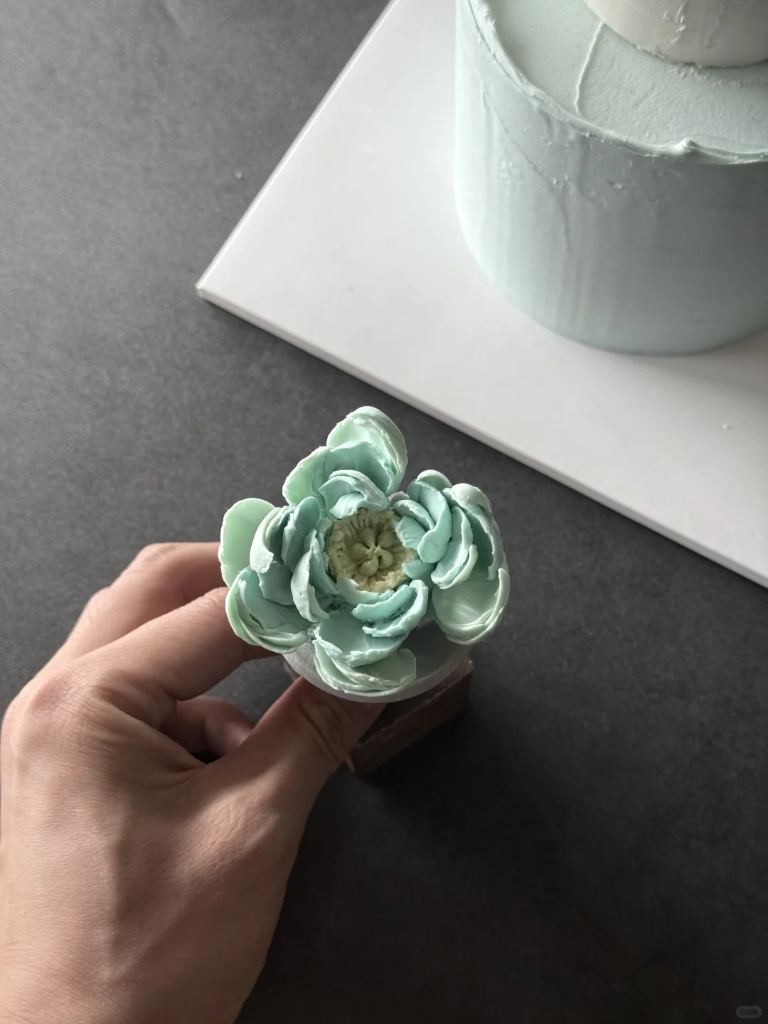 分享一朵刮刀花芍药