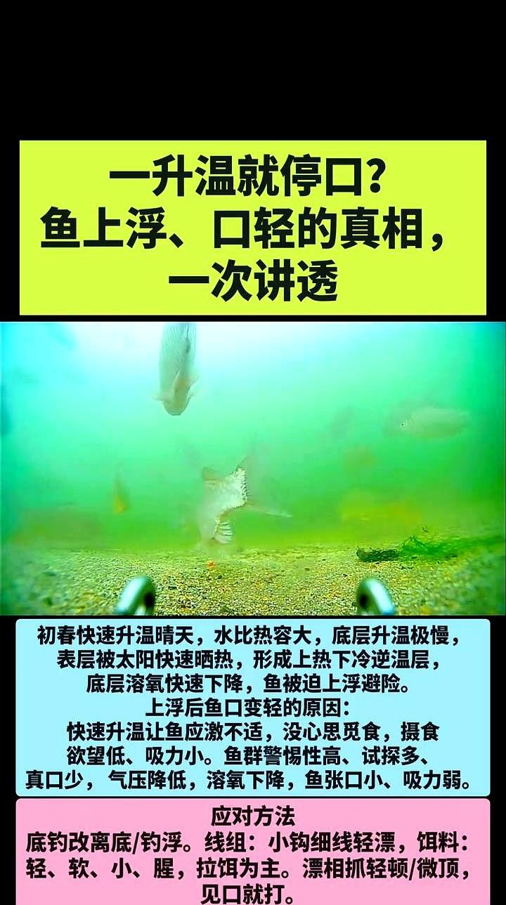 别再怪自己技术不行了。初春这种快速升温的大晴天，十个去钓鱼，九个都空军。

太阳