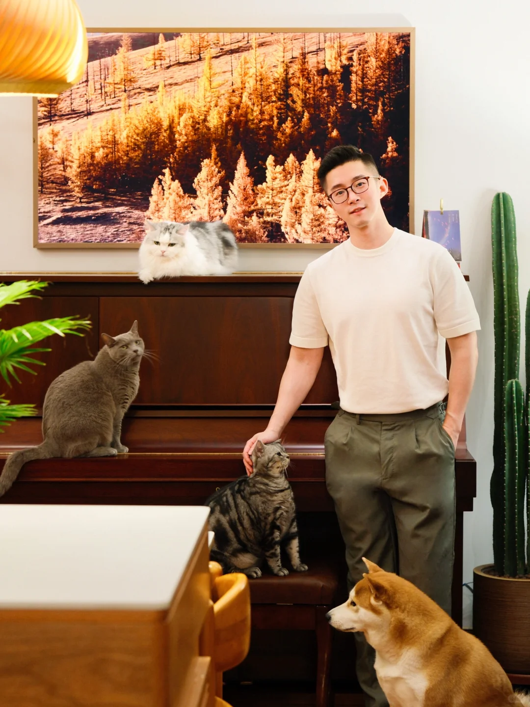 一转眼上海就入秋啦，给家里新添了一些绿植