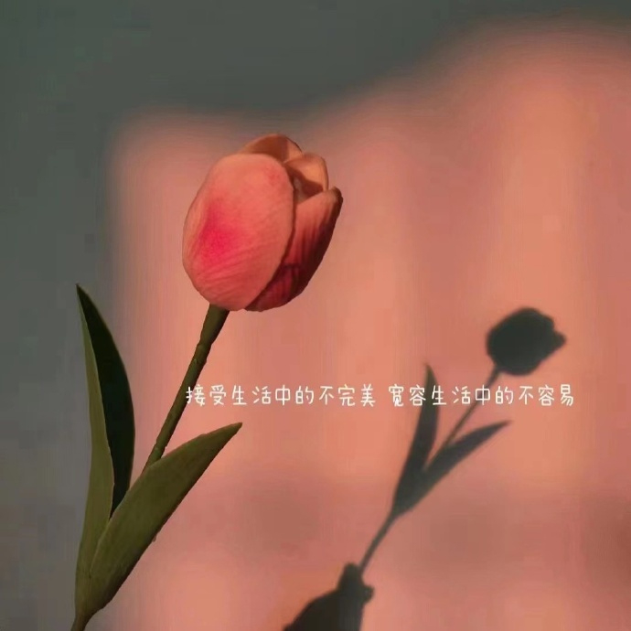 愿人生所向，皆是美好，愿我们，无论好坏、得失，都能热烈坦荡，勇敢。 ​​​
