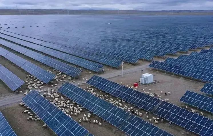 万万没想到，中国基建出了个大“乌龙”，本来准备花3亿在荒漠建个发电厂，结果十年后