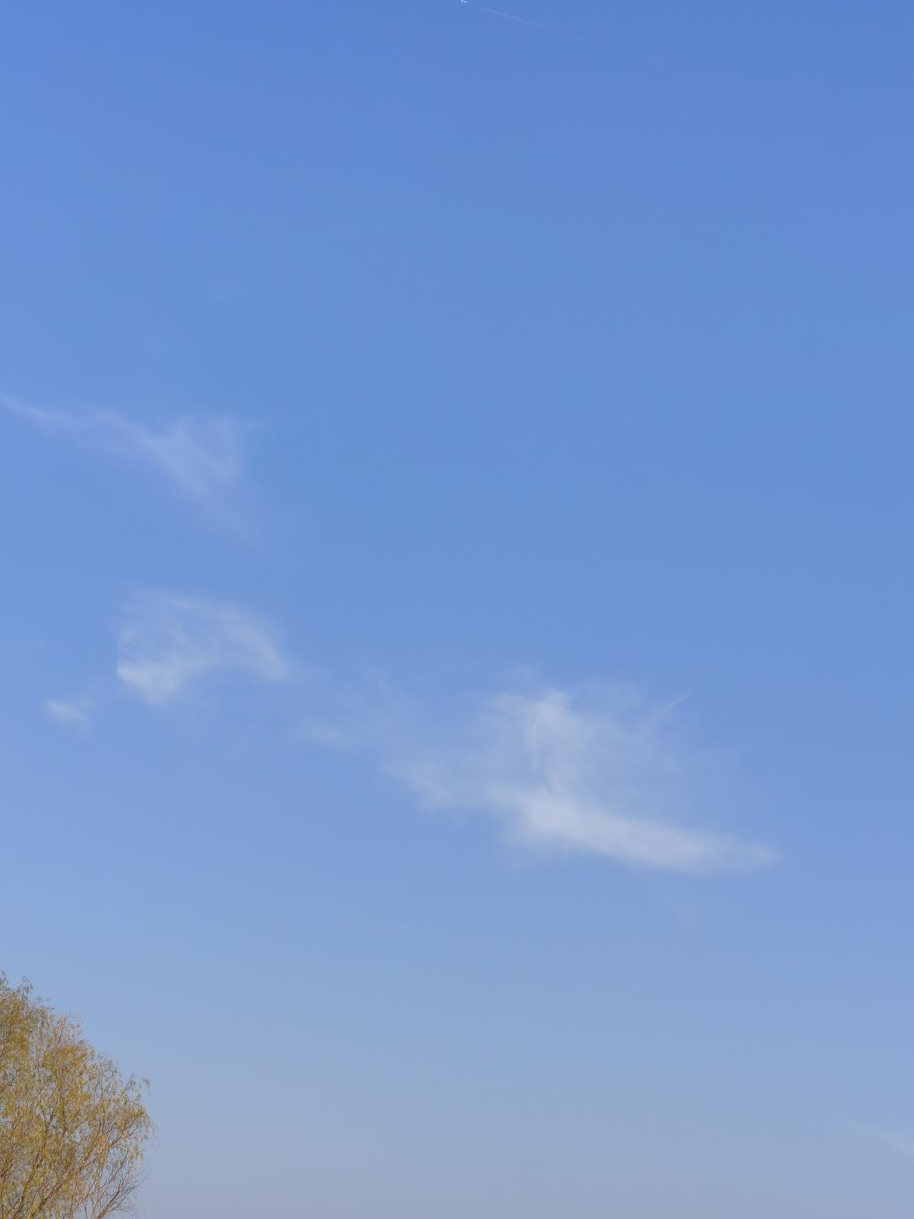 二零二五完成了她十二个月的历程，即将画上句号。

这一年，于我，除过收获皱纹和年