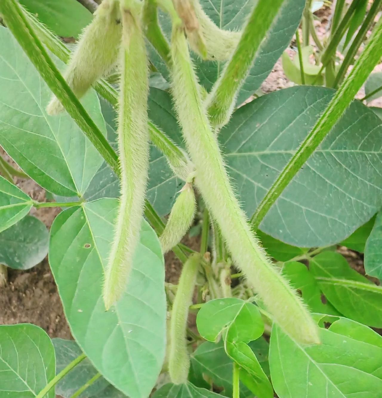 三十几岁，一事无成，那又能怎么样呢？至少还活着。

前两天大学同学婚礼，突然很多