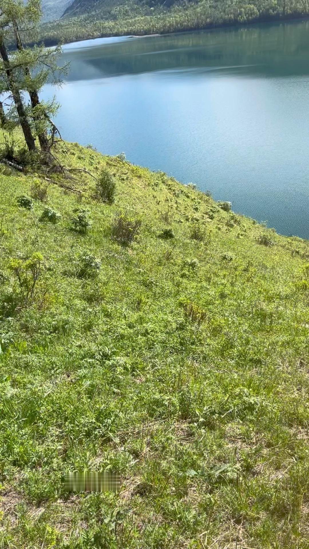 有人说，要把最好的年岁攒起来，等老了再慢慢打开 可你看那时光的河流，年...