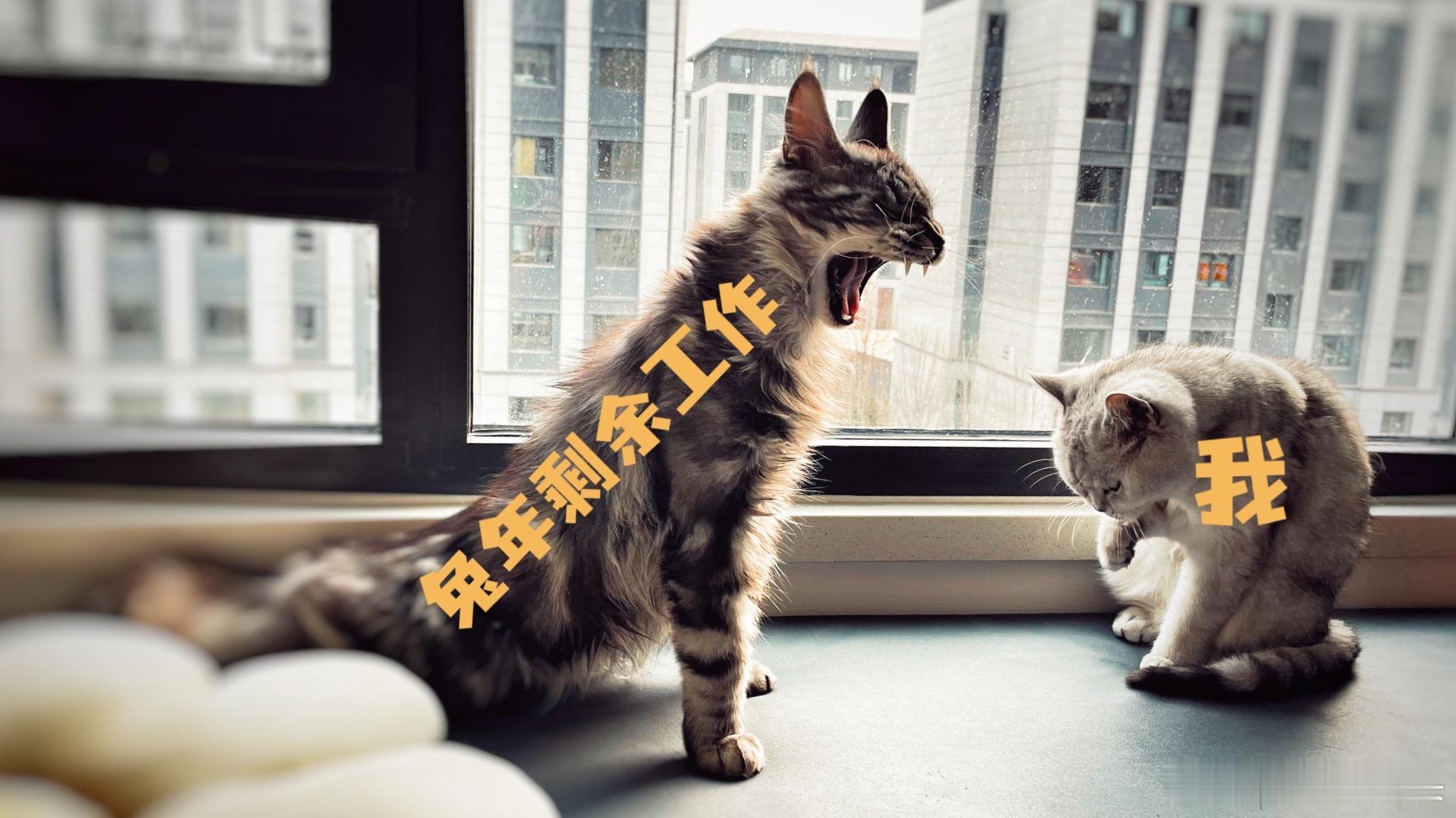 工作日的脚步越来越近…提着的心越吊越高[允悲][允悲][允悲] ​​​