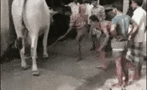 这叫一个稳准狠～[小鼓掌]