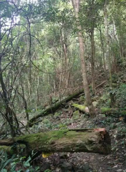 如果发生战争躲在山里安全吗？这么说吧，逃山者能十存七八，但逃湖者只能十存一二，往
