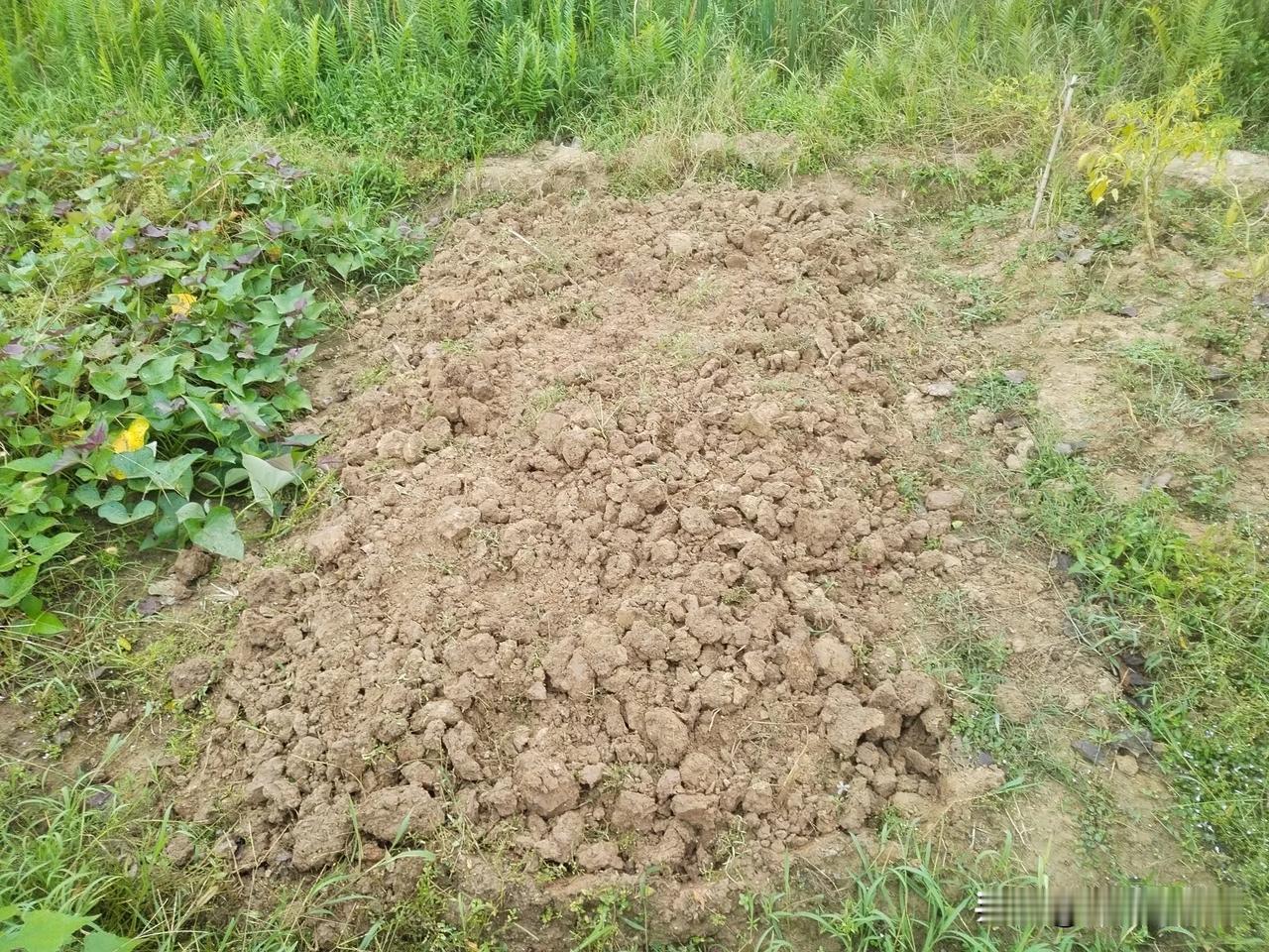今天上午雨，永州下着濛濛细雨，天气骤然变冷。昨天还是炎热的35度高温，今天降到1