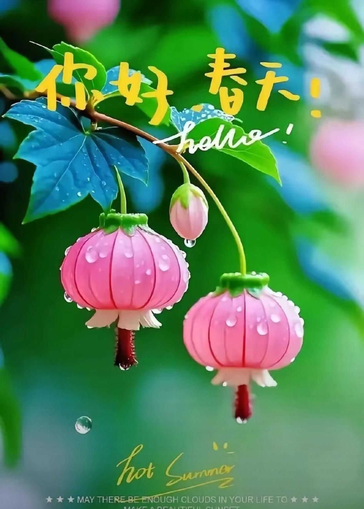 七绝🌿问春🌿
 
谷雨初晴润野芳，风摇新绿满庭香。
凭栏漫问流光意，谁送春归