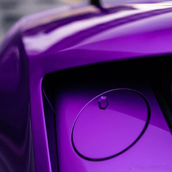 漂亮的小紫牛，颜色太骚气了！ 