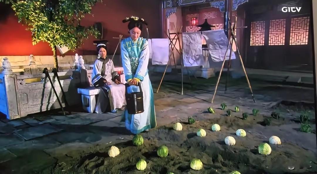 这包菜产量也属实是低了一点