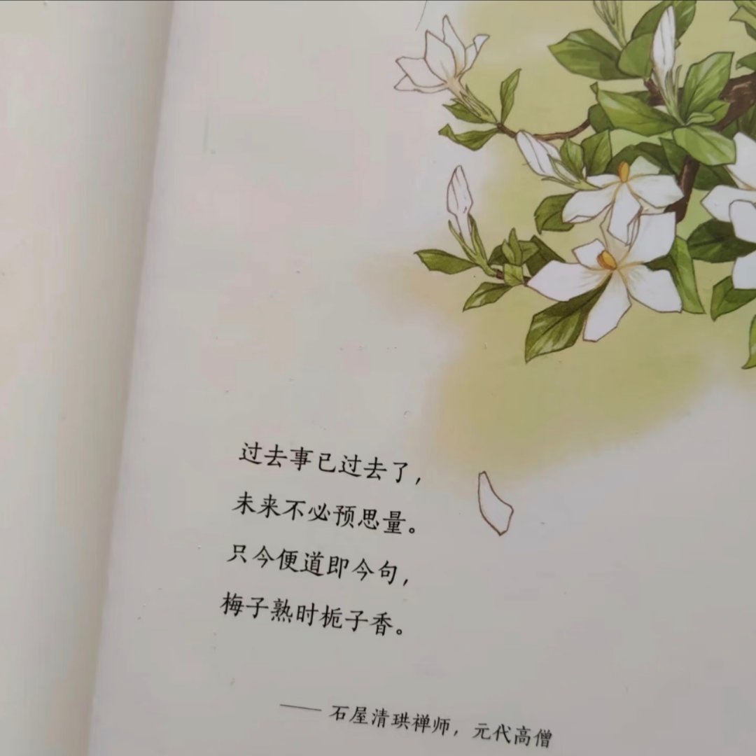 慢笔落下，镌绘流年，静拾烟火 